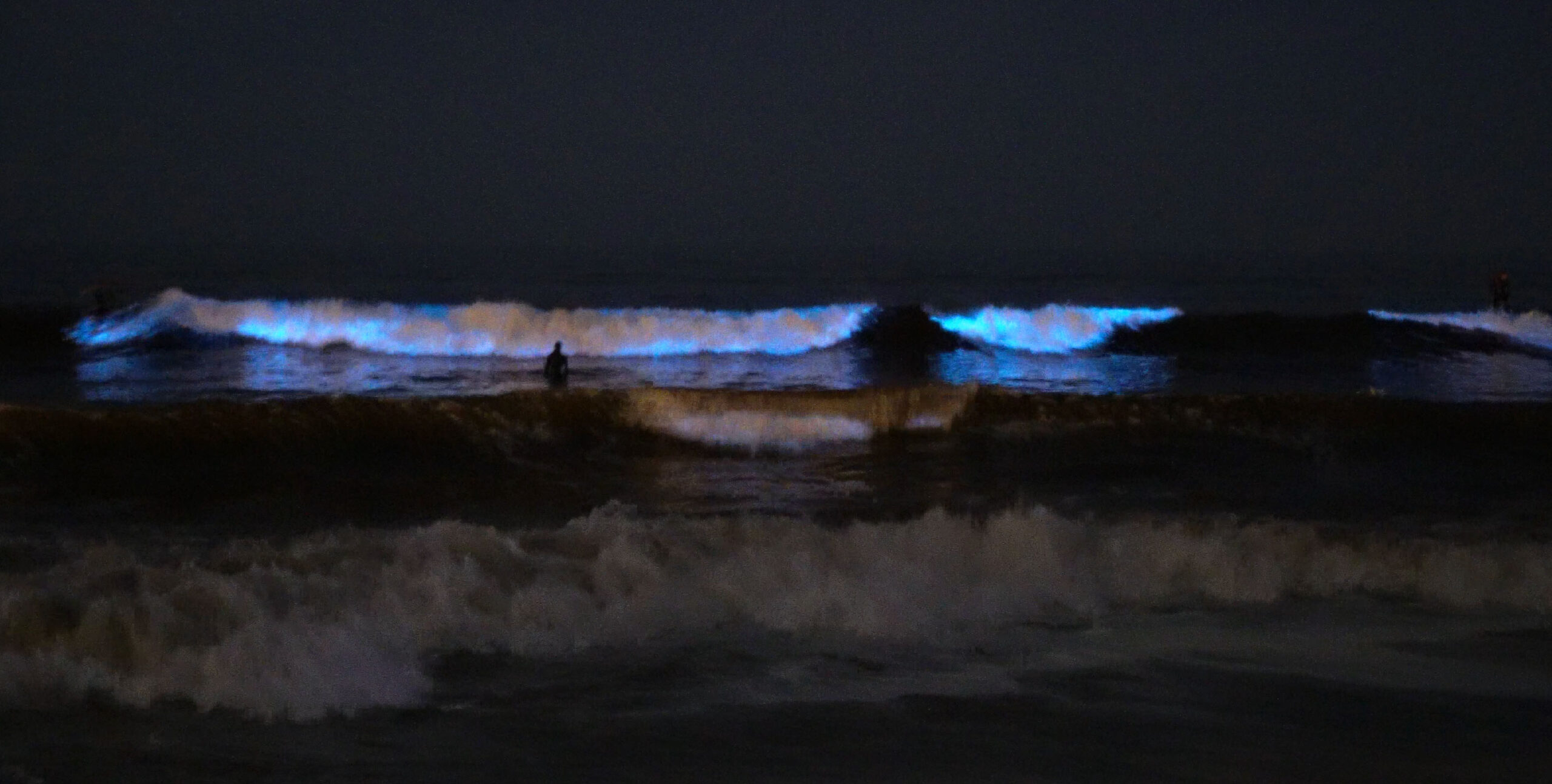 Bioluminescence Red Tide Santa Monica California 2020