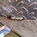 bead of weld