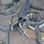 trimmed-fenders
